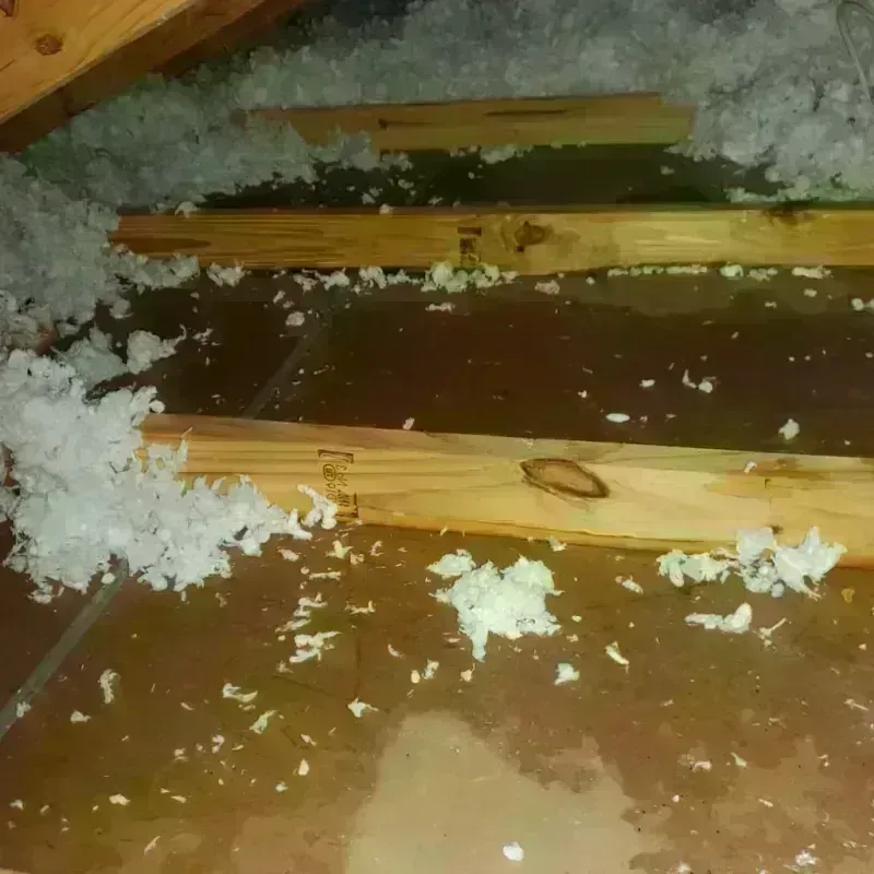 Attic Water Damage in Hamilton, IL