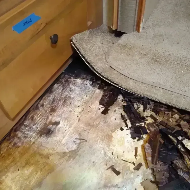 Best Wood Floor Water Damage Service in Hamilton, IL